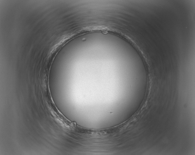 X0000078310345200611031053