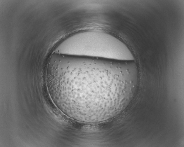 X0000078310354200611031053