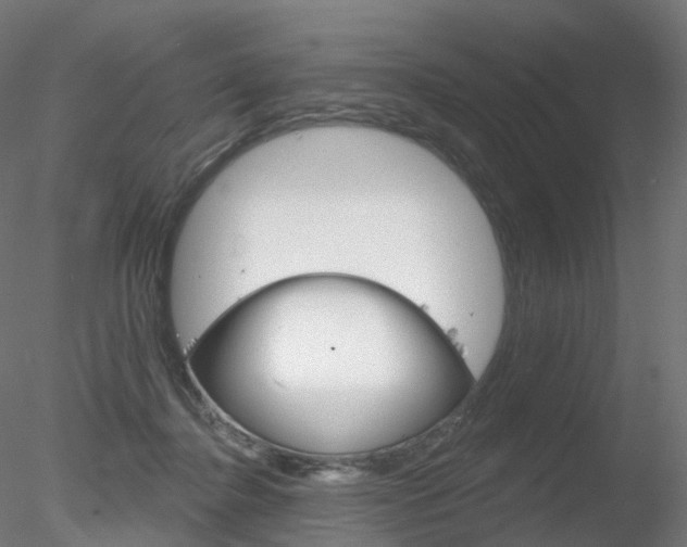 X0000078310364200611031053