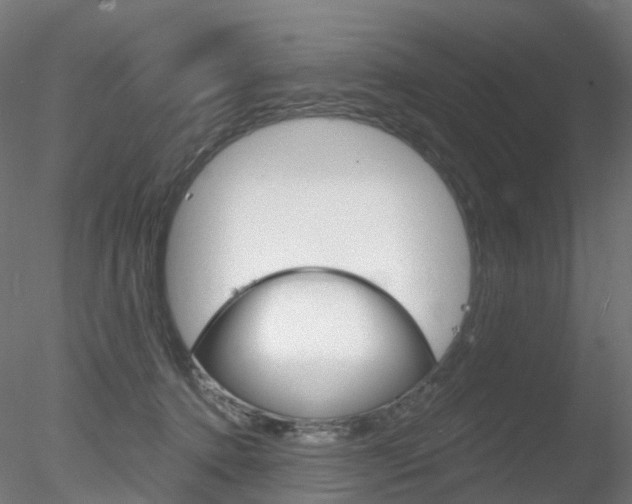 X0000078310368200611031053