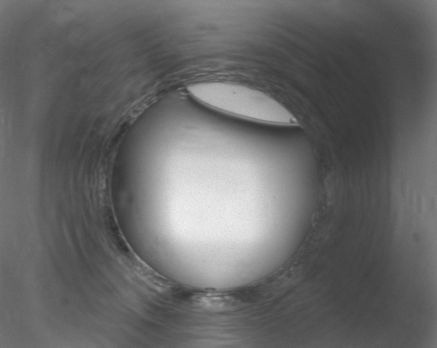 X0000078310372200611031053