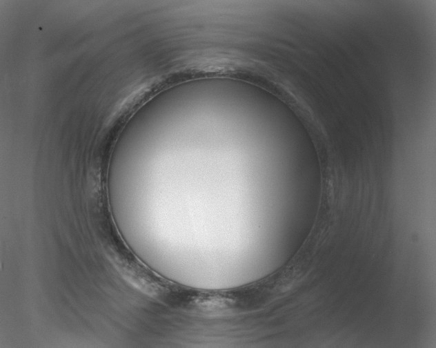 X0000078310407200611031052