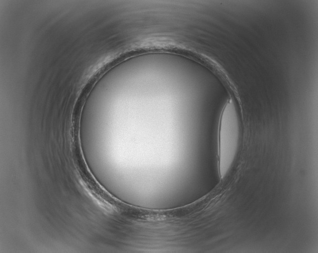 X0000078310439200611031051