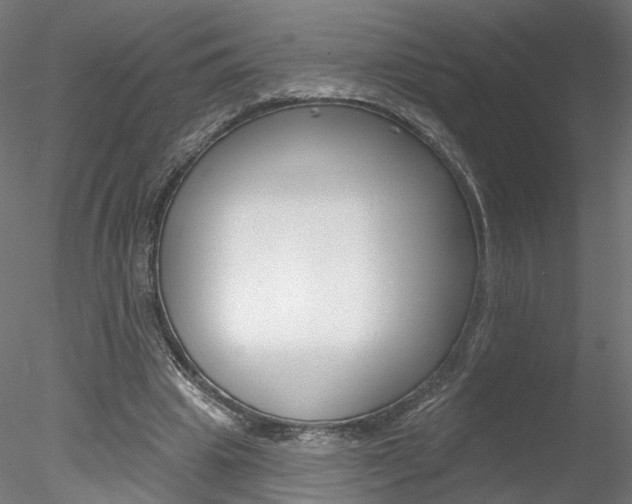 X0000078310441200611031051