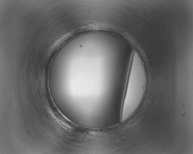 X0000078310442200611031051