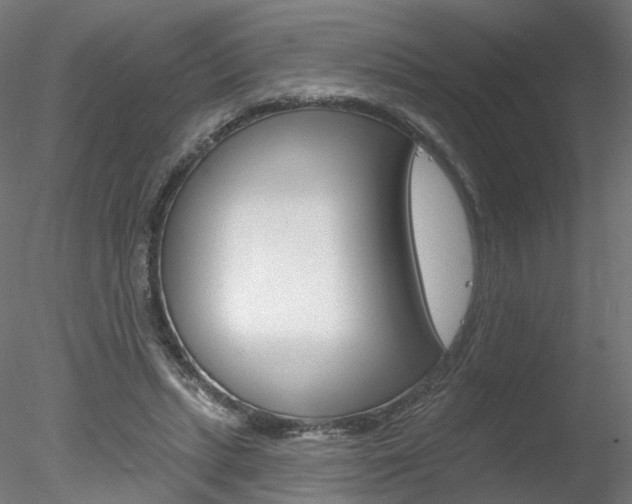X0000078310447200611031051