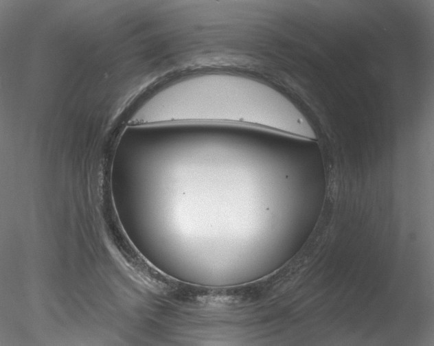 X0000078310448200611031051