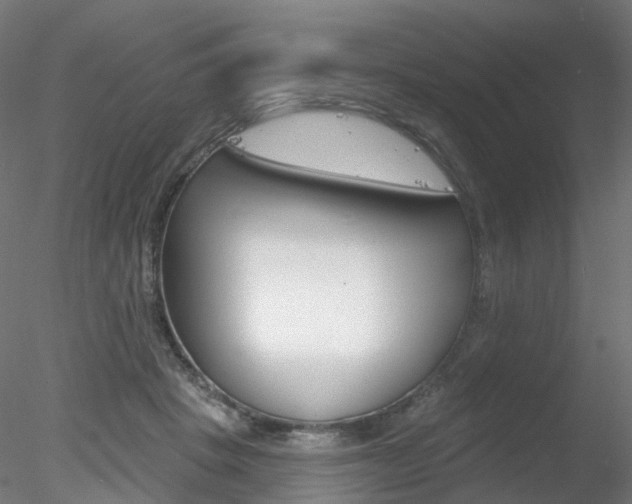 X0000078310457200611031051
