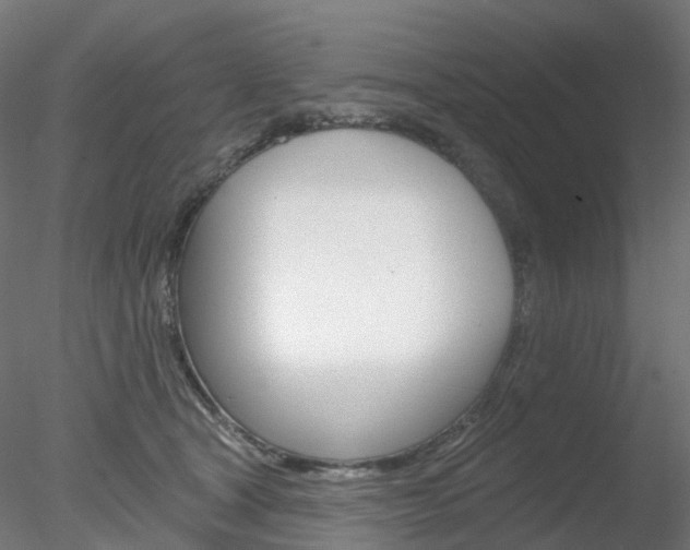 X0000078310465200611031051