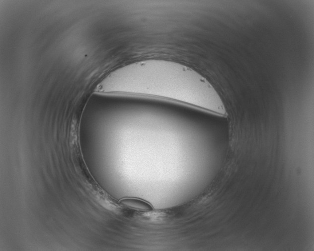X0000078310478200611031052
