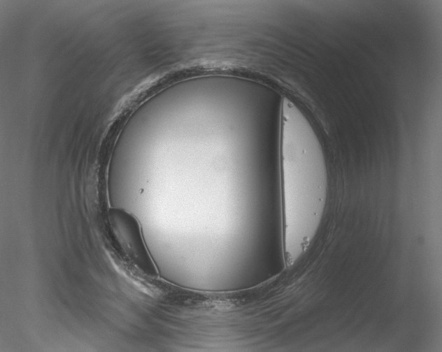 X0000078310492200611031051