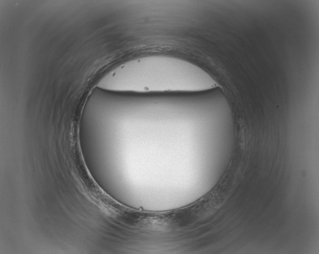 X0000078310498200611031051