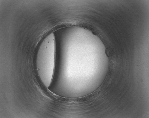 X0000078310500200611031051