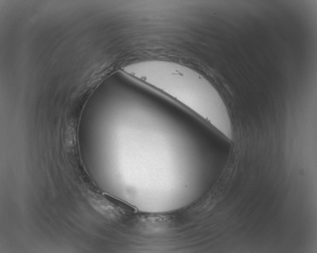 X0000078310517200611031050