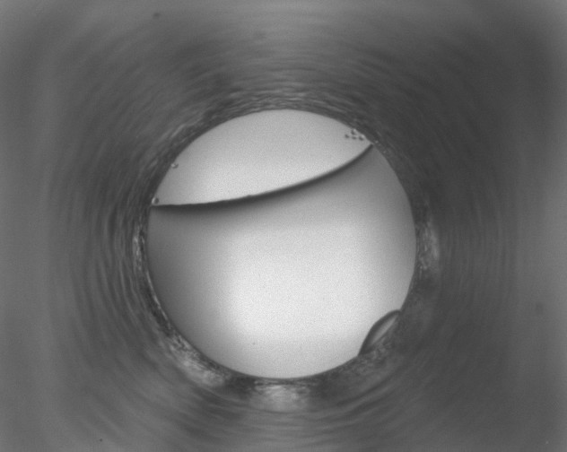 X0000078310522200611031050