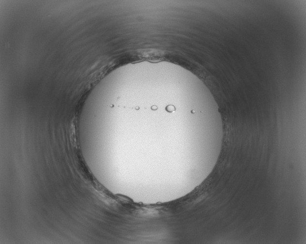 X0000078310523200611031050
