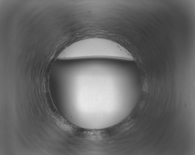 X0000078310524200611031050