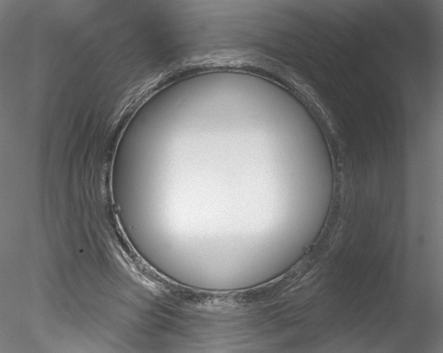 X0000078310537200611031049