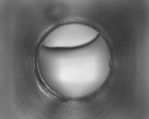X0000078310538200611031049