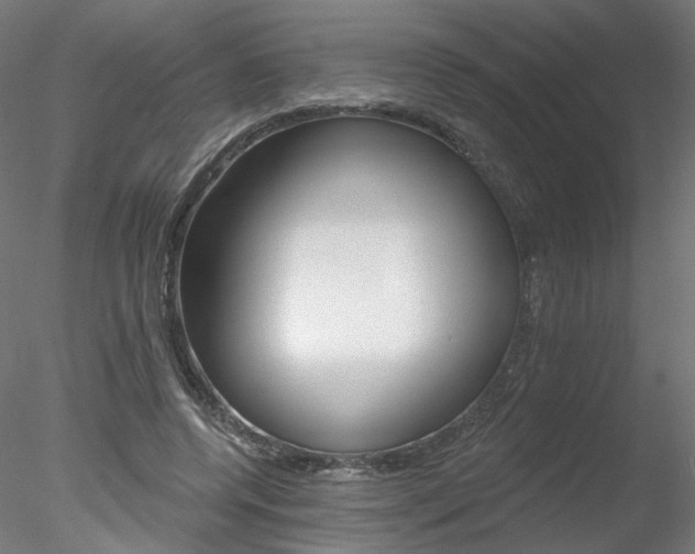 X0000078310544200611031050
