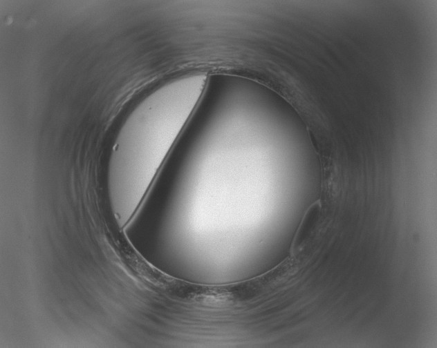X0000078310548200611031050