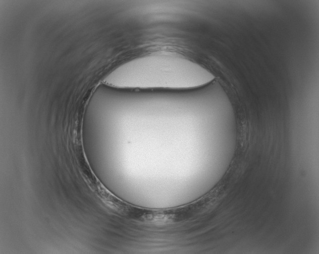 X0000078310553200611031050