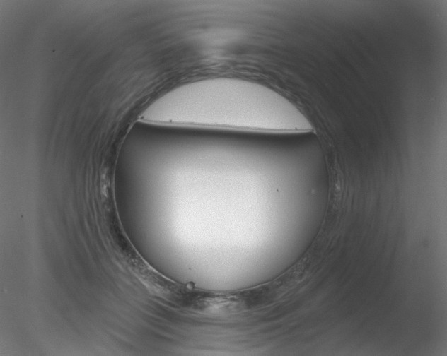 X0000078310555200611031050
