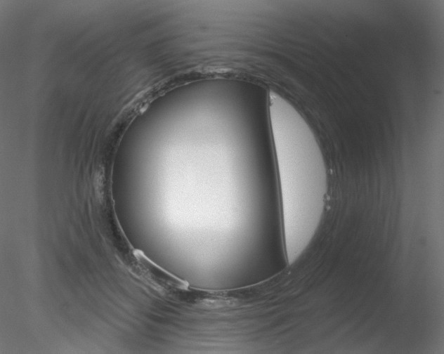 X0000078310556200611031050