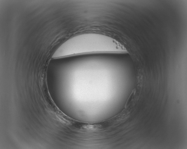 X0000078310558200611031050