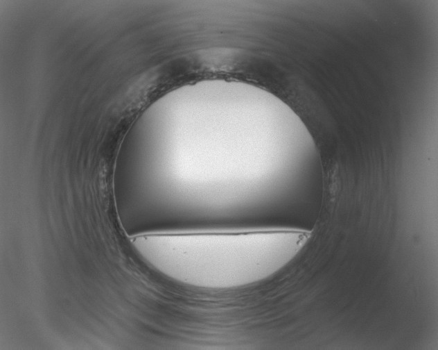 X0000078310559200611031050