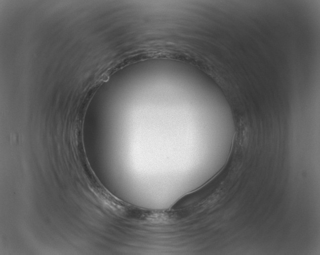 X0000078310562200611031050