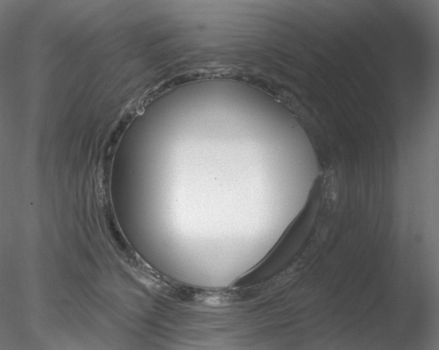 X0000078310564200611031050
