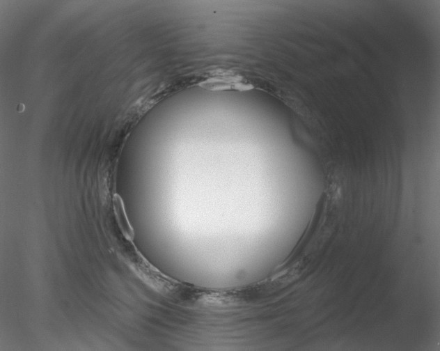 X0000078310568200611031050