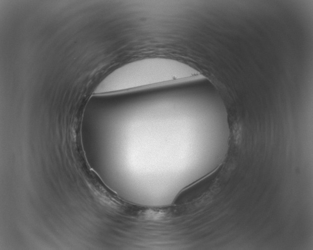 X0000078310570200611031050