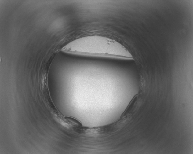 X0000078310574200611031050