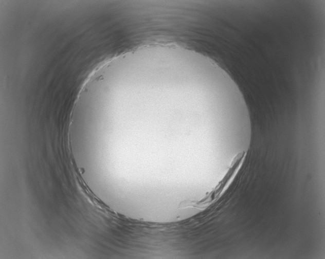 X0000078310579200611031049