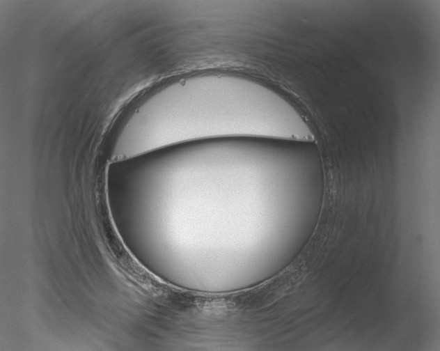 X0000078310587200611031049