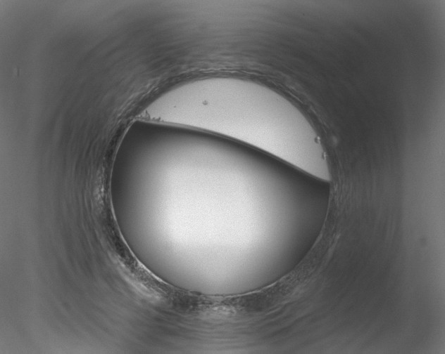 X0000078310593200611031049