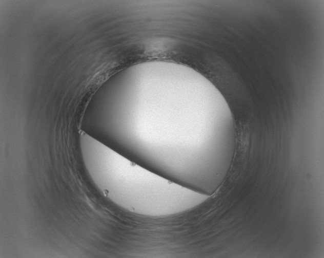 X0000078310603200611031049