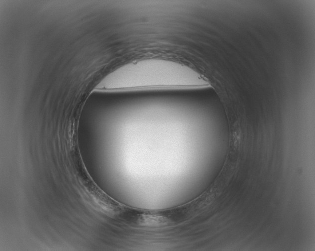 X0000078310605200611031049