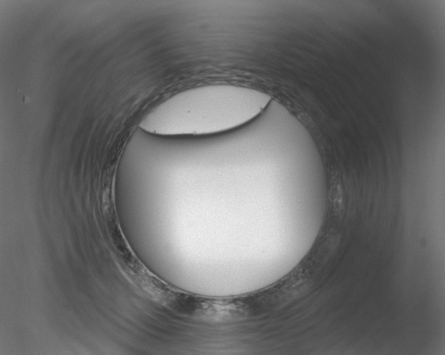 X0000078310607200611031049