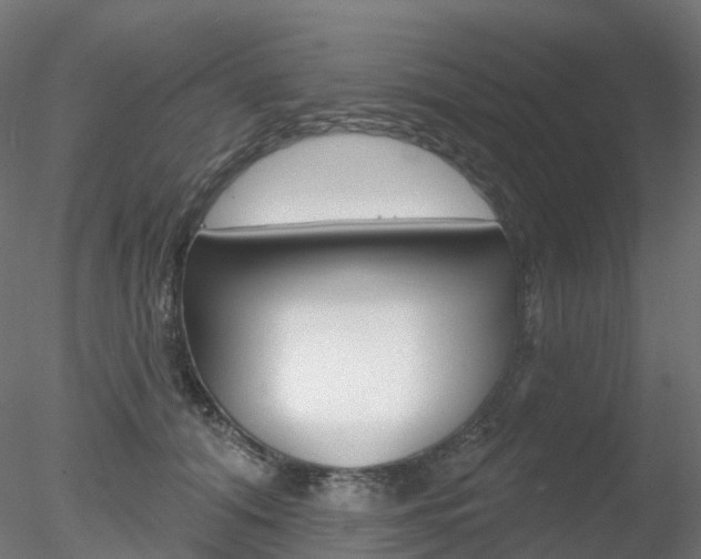 X0000078310608200611031049