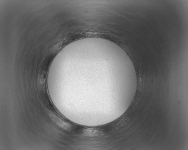 X0000078310614200611031049