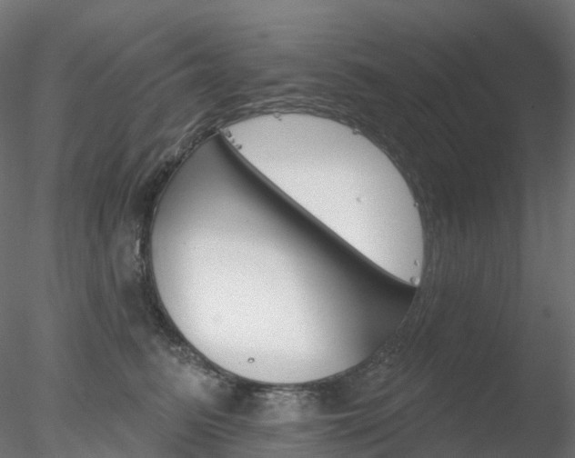 X0000078310615200611031049