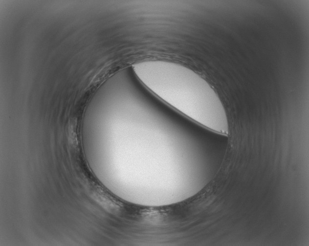 X0000078310616200611031049