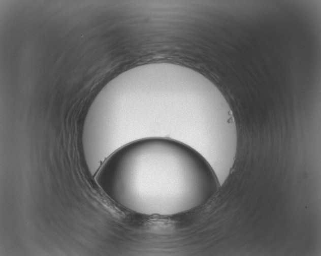 X0000078310617200611031049