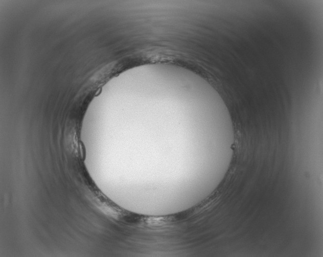 X0000078310622200611031049