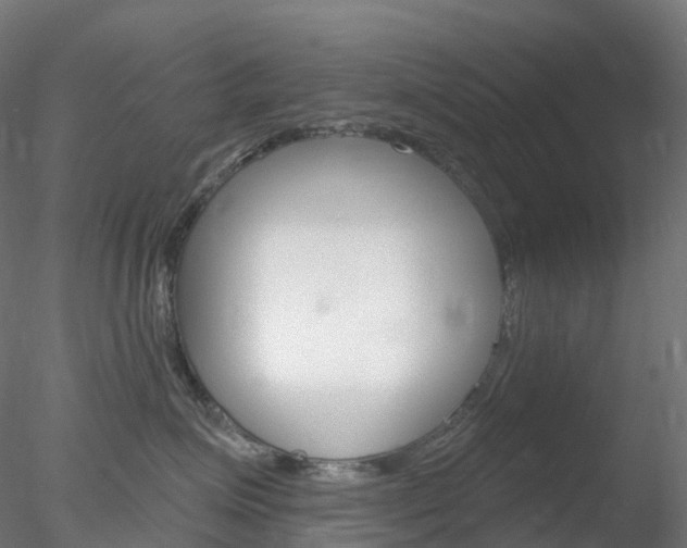 X0000078310623200611031049