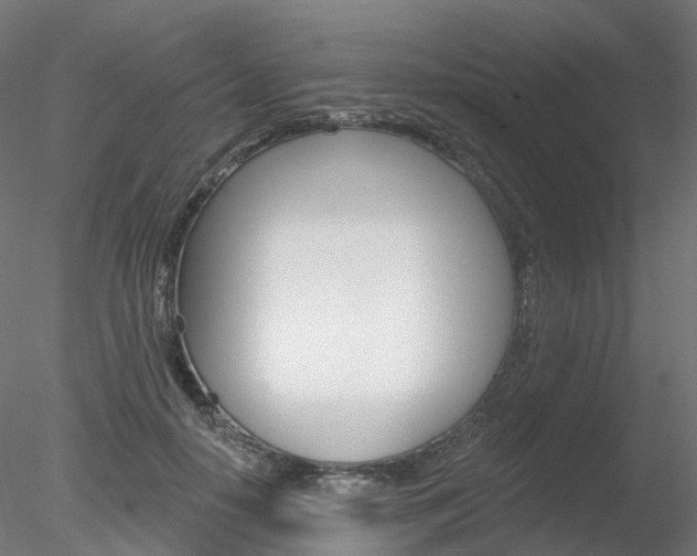 X0000078310650200611031048