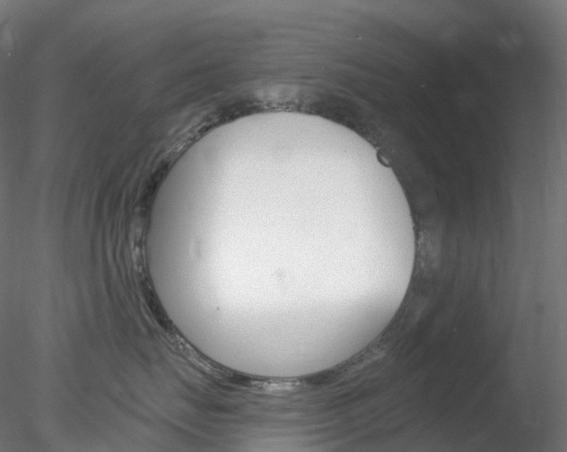 X0000078310671200611031048